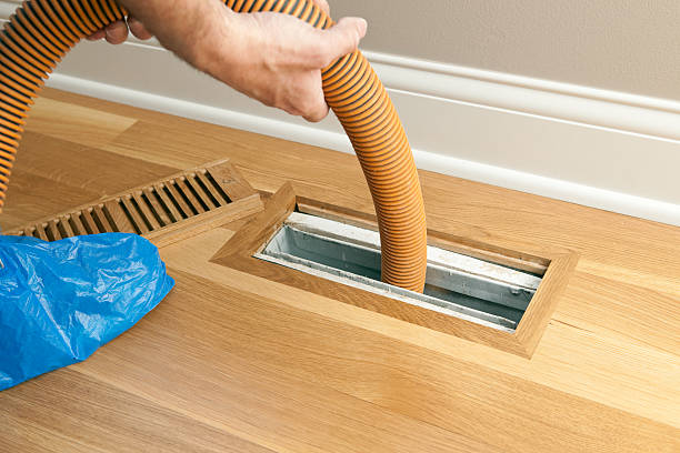 Best Air Duct Sanitizing Services  in Eupora, MS