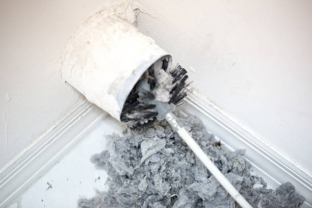 Best Professional Duct Cleaning Services  in Eupora, MS